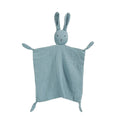The Little Storytime Blanket